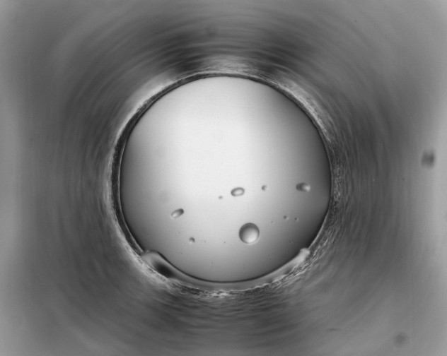 X0000099231139200805081551