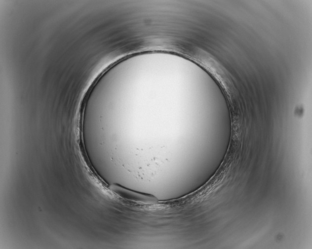 X0000099231140200805081551