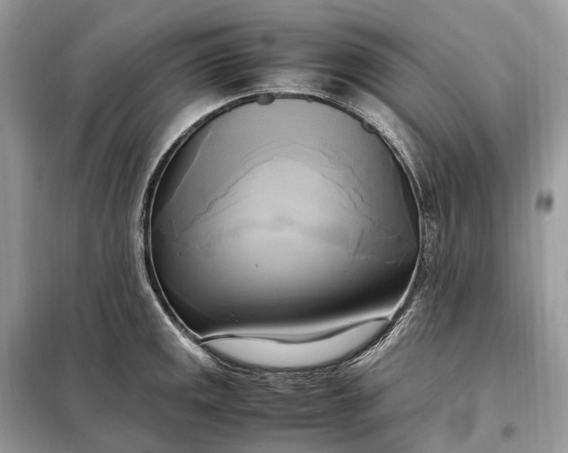 X0000099231141200805081551