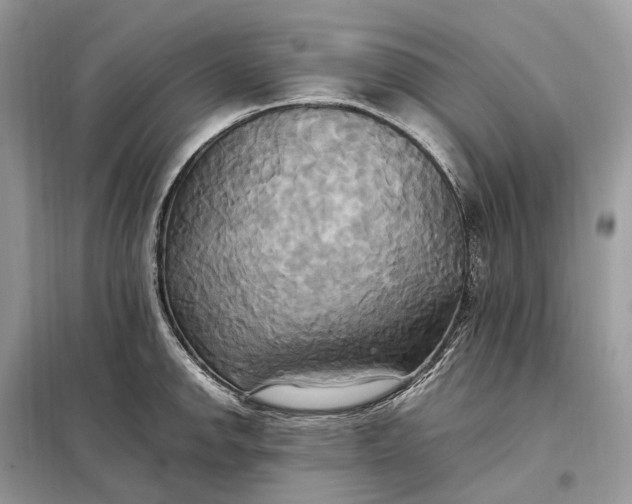 X0000099231142200805081551