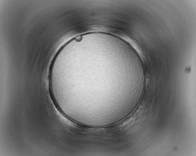 X0000099231143200805081551