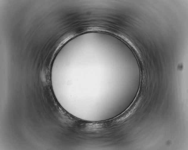 X0000099231145200805081551