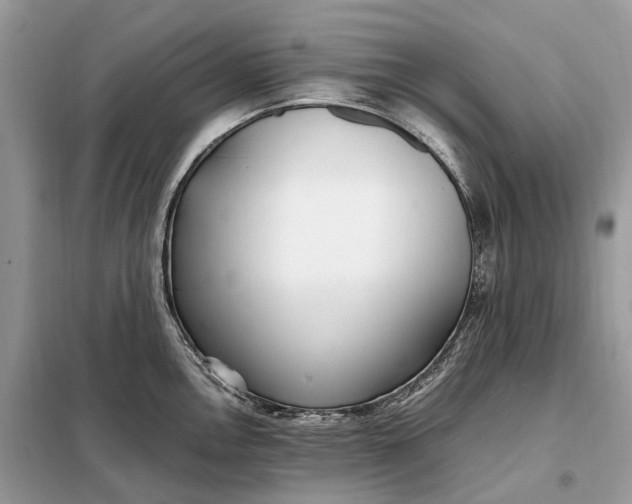 X0000099231146200805081551