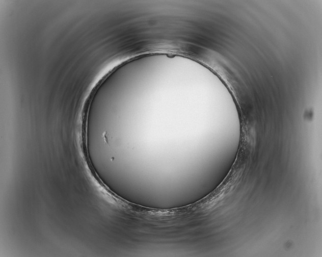 X0000099231147200805081551