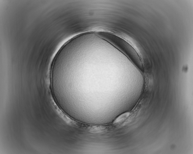 X0000099231148200805081551