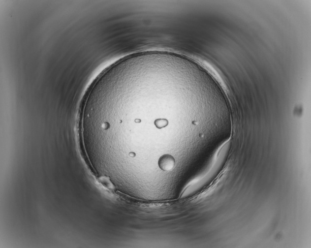 X0000099231149200805081551