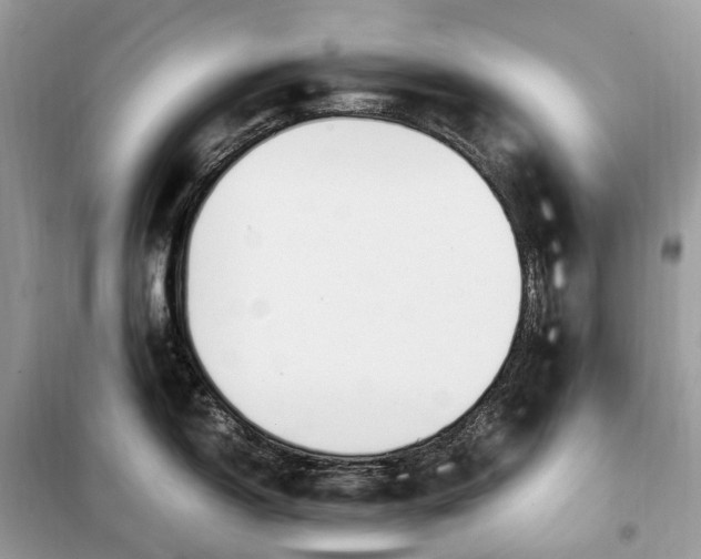 X0000099231150200805081551