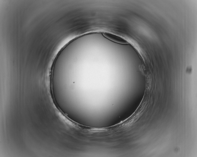 X0000099231151200805081551