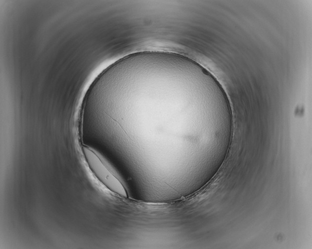 X0000099231152200805081551