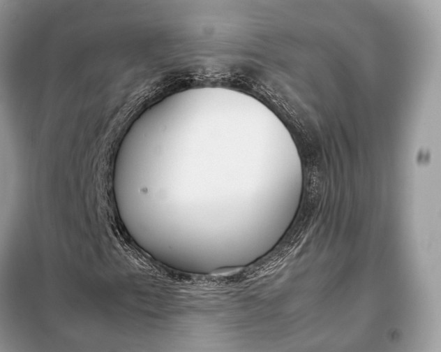 X0000099231153200805081550