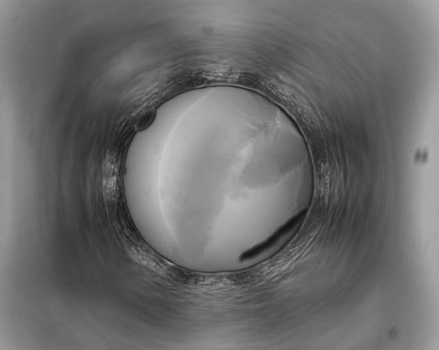 X0000099231154200805081550