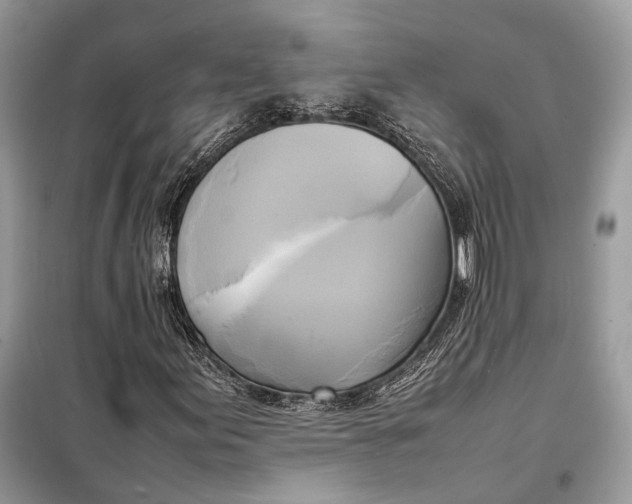 X0000099231155200805081550