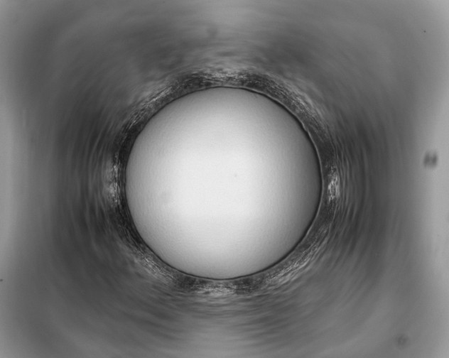 X0000099231156200805081550