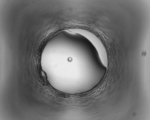 X0000099231157200805081550