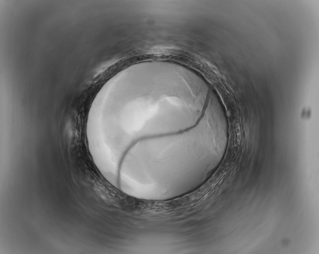 X0000099231158200805081550