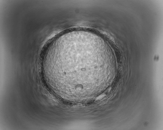 X0000099231159200805081550