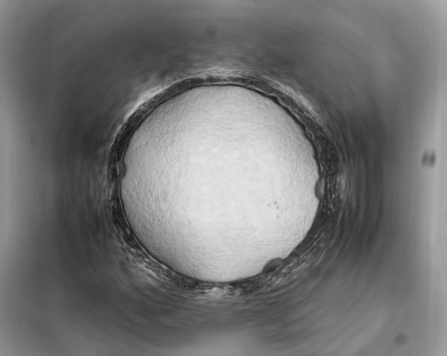 X0000099231160200805081550