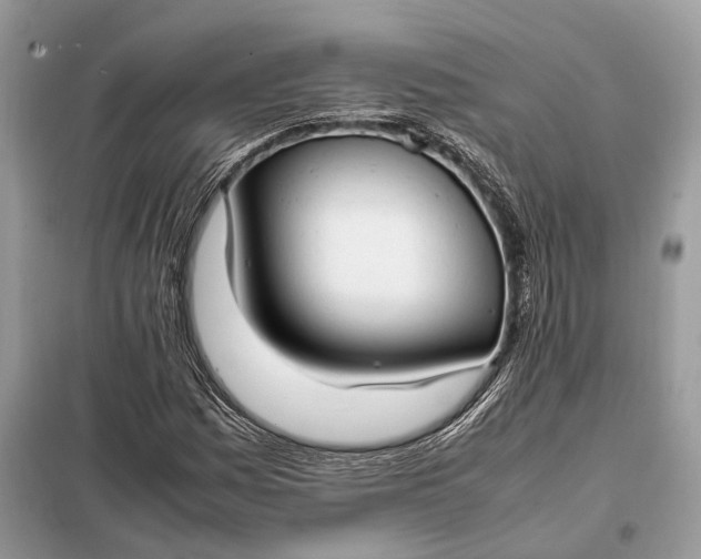 X0000099231161200805081550