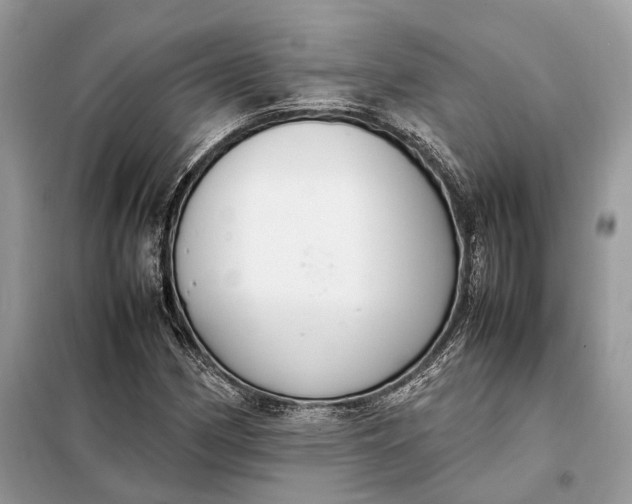 X0000099231162200805081550