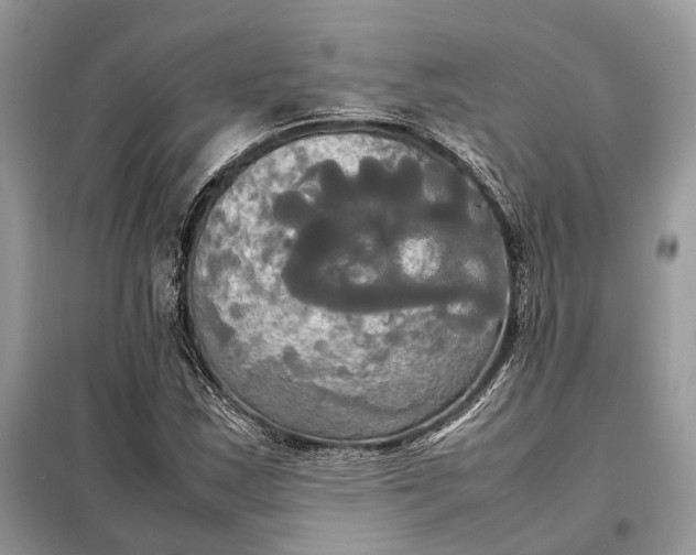 X0000099231163200805081550