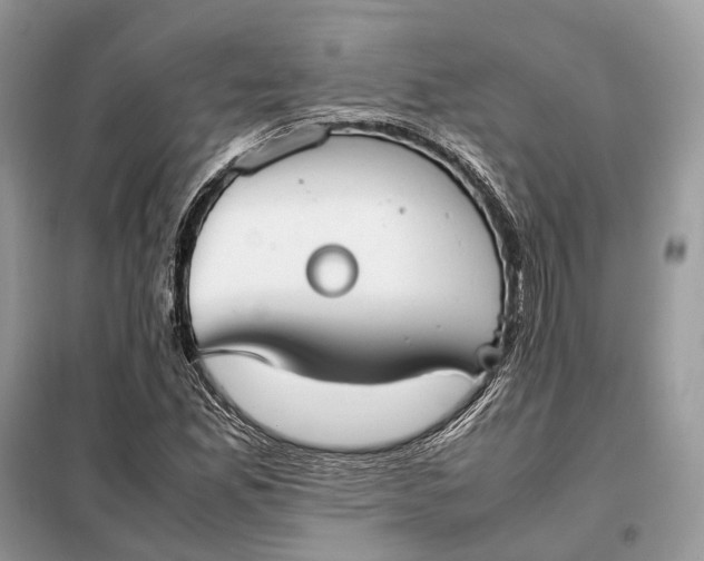 X0000099231165200805081550