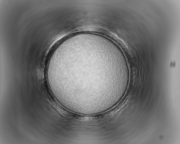 X0000099231166200805081550