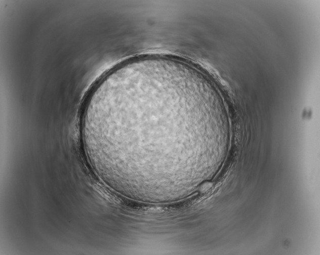 X0000099231167200805081550