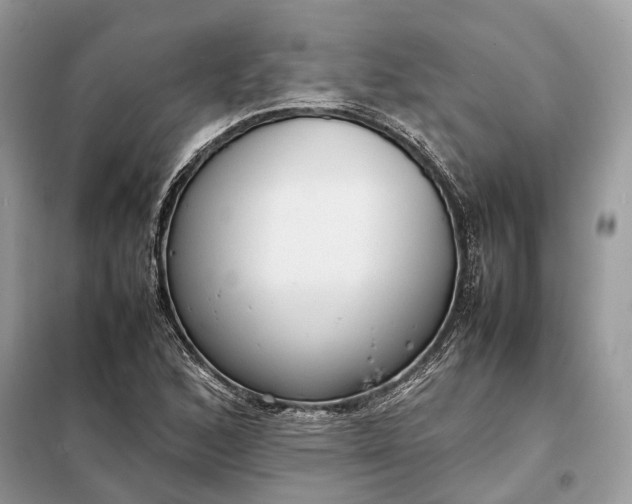 X0000099231168200805081550