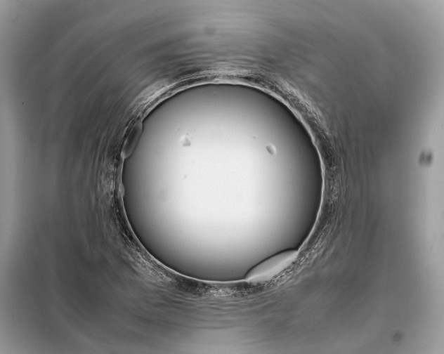 X0000099231169200805081550