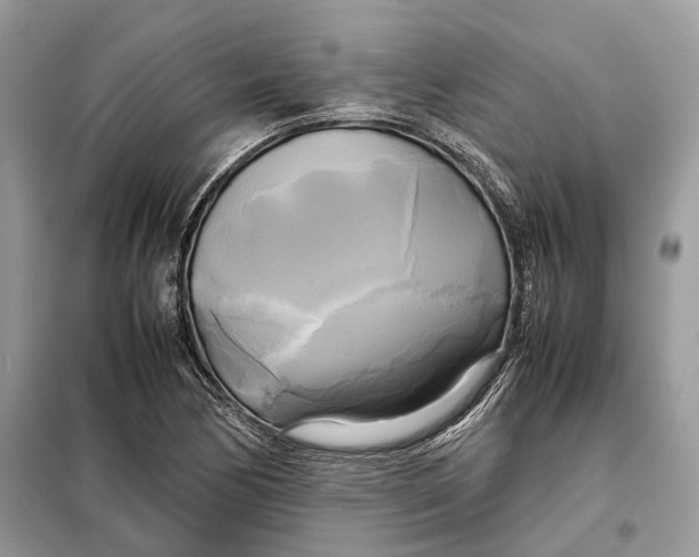 X0000099231170200805081550