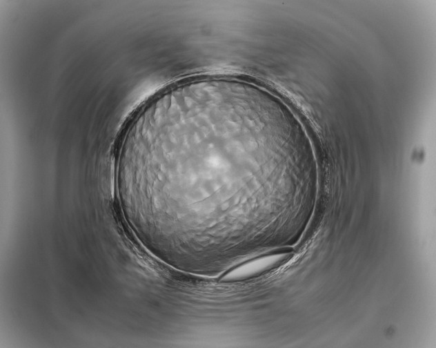 X0000099231171200805081550