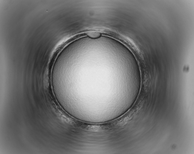 X0000099231172200805081550