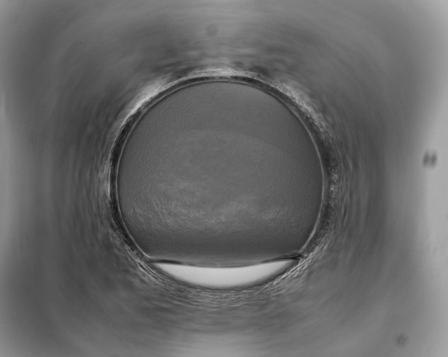 X0000099231173200805081550