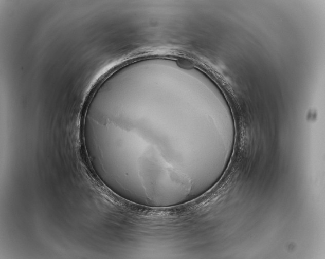 X0000099231174200805081550