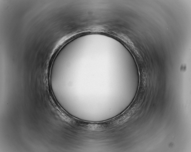 X0000099231176200805081550