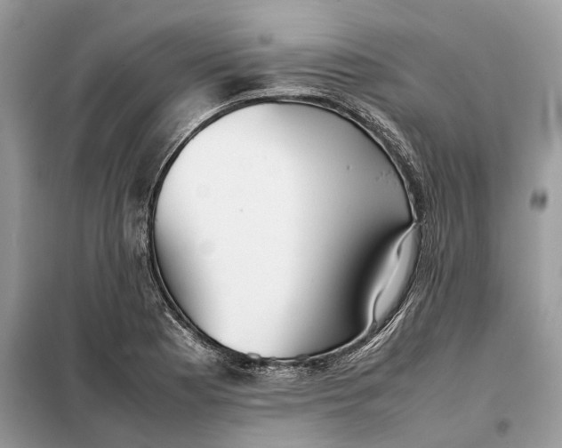 X0000099231177200805081550