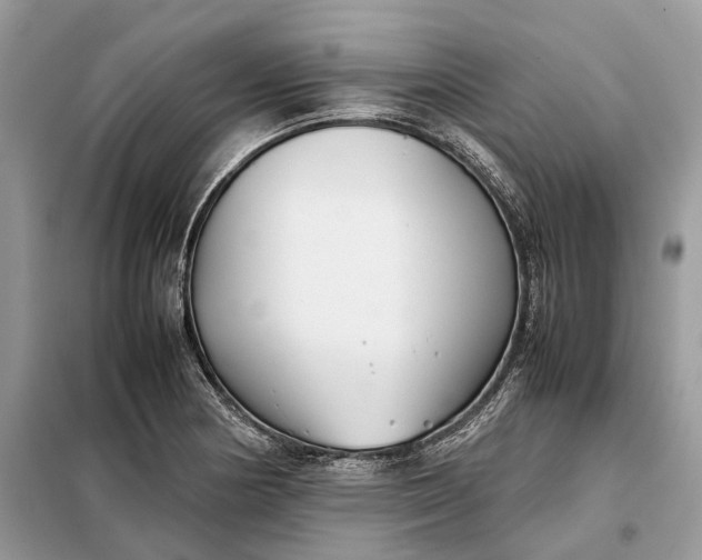 X0000099231178200805081550