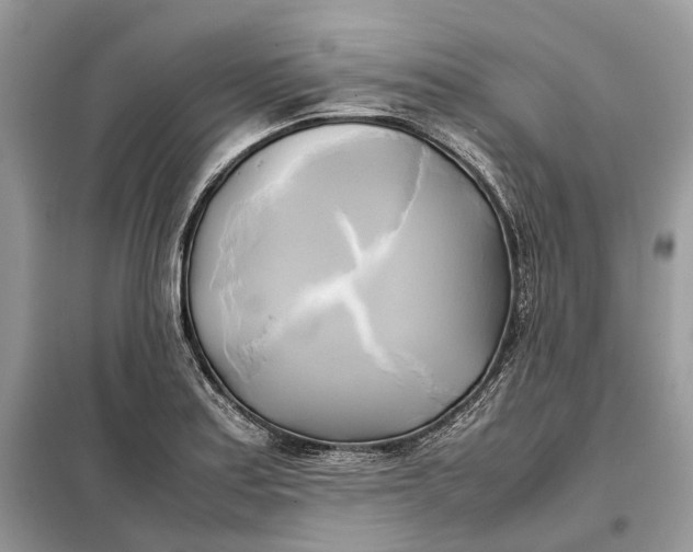 X0000099231179200805081550