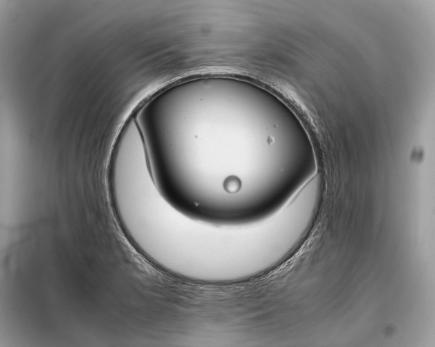 X0000099231181200805081550