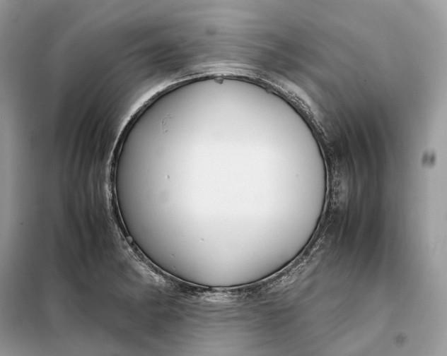 X0000099231182200805081550