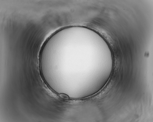 X0000099231184200805081550