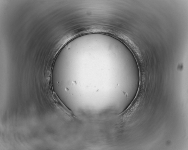 X0000099231185200805081550