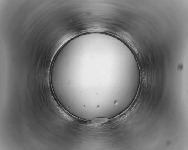 X0000099231186200805081550