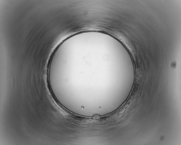 X0000099231187200805081550