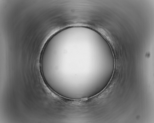 X0000099231189200805081550