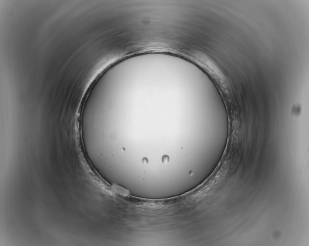 X0000099231190200805081550