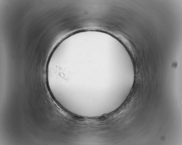 X0000099231191200805081550