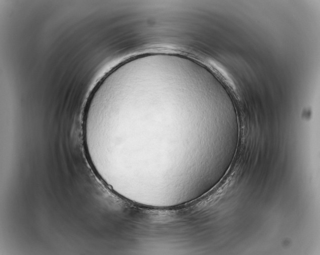 X0000099231192200805081550