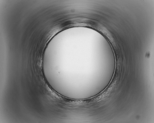 X0000099231193200805081550