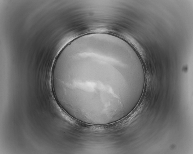 X0000099231194200805081550